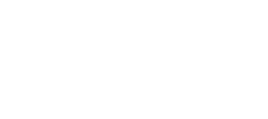 Meta Partner Badge